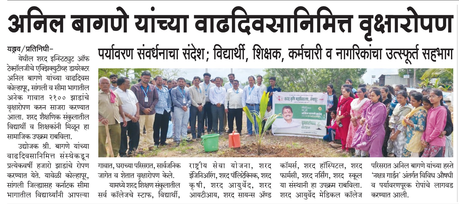 Tree Plantation